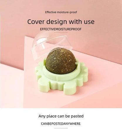 Rotatable Catnip Ball for Teeth Cleaning