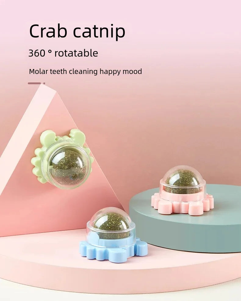 Rotatable Catnip Ball for Teeth Cleaning