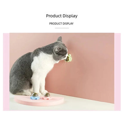 Rotatable Catnip Ball for Teeth Cleaning