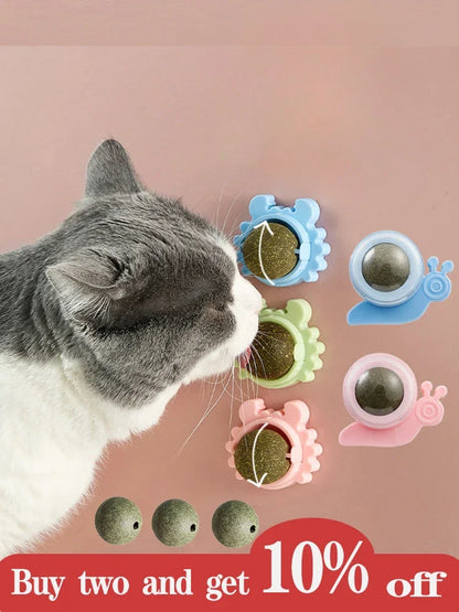 Rotatable Catnip Ball for Teeth Cleaning