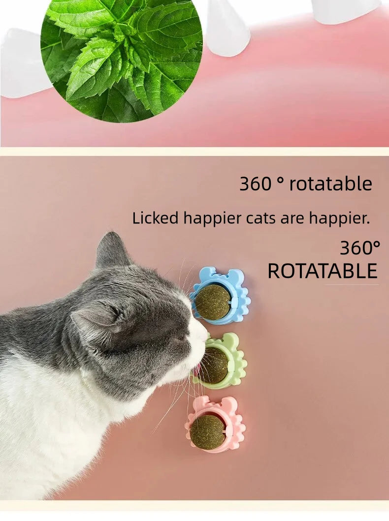 Rotatable Catnip Ball for Teeth Cleaning