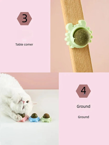 Rotatable Catnip Ball for Teeth Cleaning