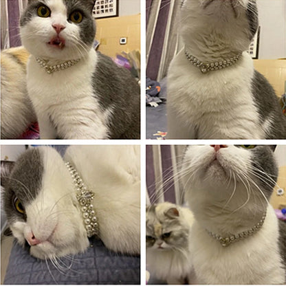 Luxury Pearl & Rhinestone Cat Necklace Collar - Fancy Pet Jewelry for Cats & Small Dogs