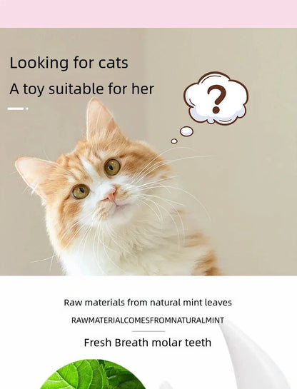 Rotatable Catnip Ball for Teeth Cleaning